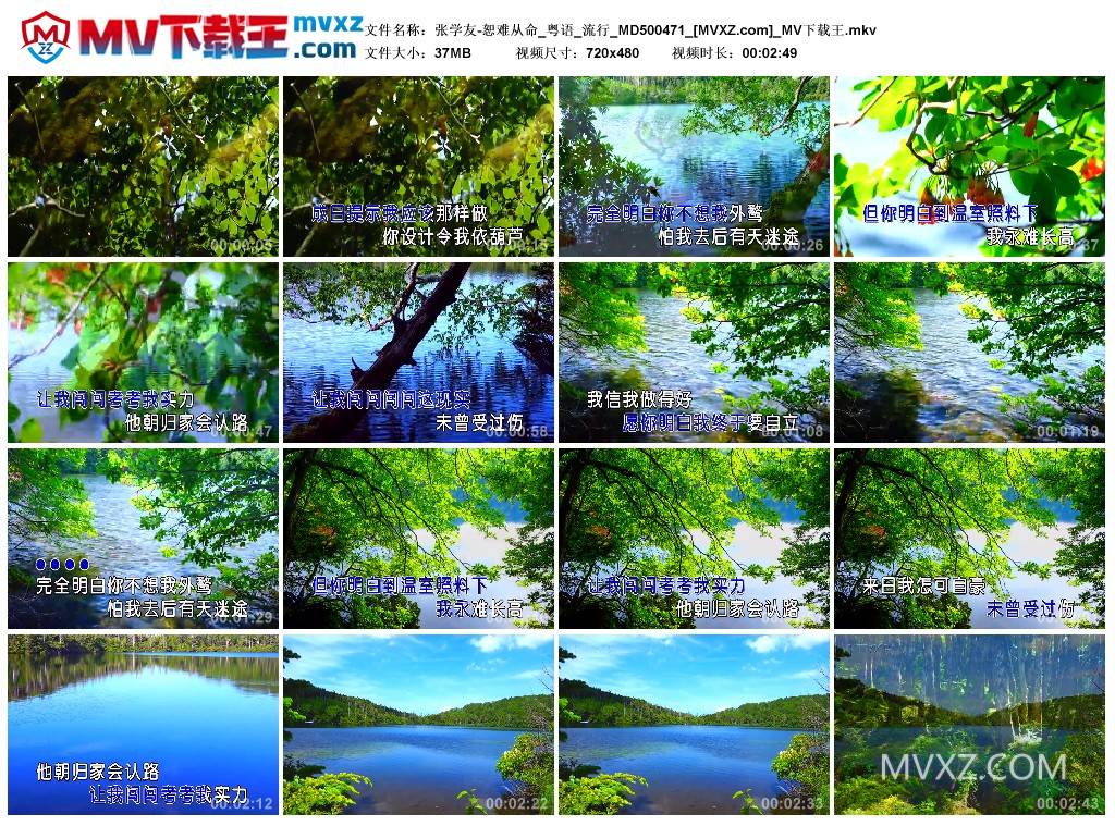 张学友-恕难从命_粤语_流行_MD500471